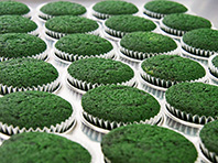 Изобретатели с Дальнего Востока представили полезное печенье из водорослей - «Здоровая жизнь»