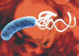 Как защититься от язвы осенью - «Здоровая жизнь»