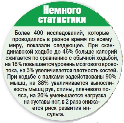 Лариса Вербицкая: «Я влюблена в скандинавскую ходьбу» - «Здоровая жизнь»
