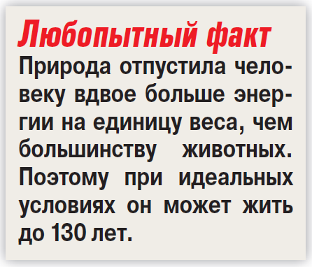 Лень спасет от инфаркта - «Здоровая жизнь»
