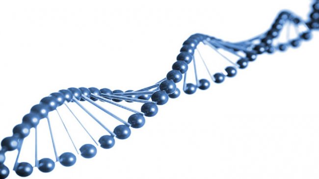 Гены – не главное. В ваших проблемах может быть виновата ваша бабушка - «Здоровая жизнь»