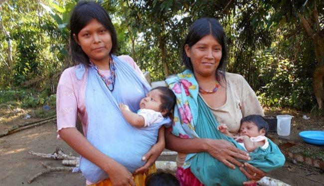 Индейцы Амазонки нашли эликсир молодости - «Здоровая жизнь»