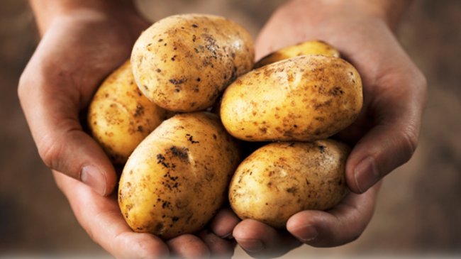 Картофель омолаживает кожу и спасает от седины - «Здоровая жизнь»