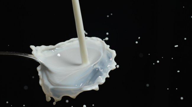 Молоко приходит на помощь мозгу - «Здоровая жизнь»