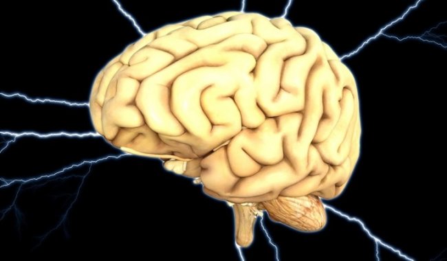 Найдена связь между совершением преступлений и повреждениями мозга - «Здоровая жизнь»