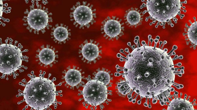 В Европе буйствует мутировавший вирус гриппа - «Здоровая жизнь»