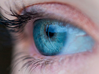 Найдена неожиданная причина развития болезней глаз - «Здоровая жизнь»