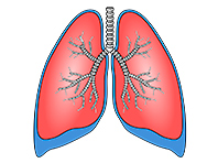 Наночастицы покажут реальное состояние легких у больных с ХОБЛом - «Здоровая жизнь»