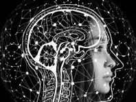 Неврологи пересмотрели свой взгляд на человеческий мозг - «Здоровая жизнь»