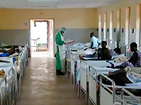 Обнародованы предварительные результаты тестирования средств против лихорадки Эбола - «Здоровая жизнь»