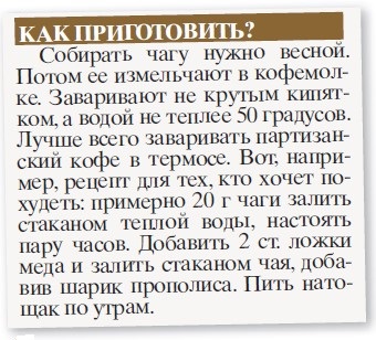 От комбучи проку куча - «Здоровая жизнь»