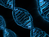 Приложение для знакомств по ДНК - амбициозный проект генетиков - «Здоровая жизнь»