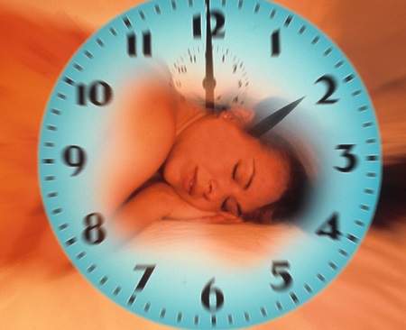 Совы и жаворонки: кому легче жить? - «Здоровая жизнь»