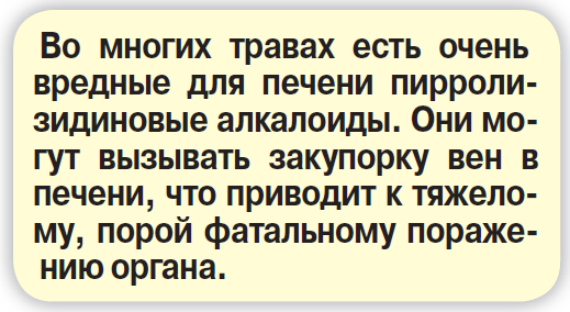 Травы против химии: кто кого? - «Здоровая жизнь»
