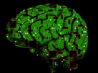 Ученые приблизились к созданию искусственного мозга - «Здоровая жизнь»
