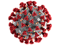 Вирусологи вычислили, сколько коронавирус живет на предметах - «Здоровая жизнь»