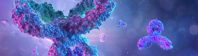 Моноклональные антитела в терапии рассеянного склероза: от клинических исследований к практическому применению - «Инфекционные заболевания»