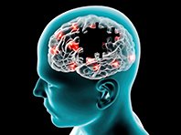 Простая проверка покажет, кто пострадает от болезней головного мозга - «Здоровая жизнь»