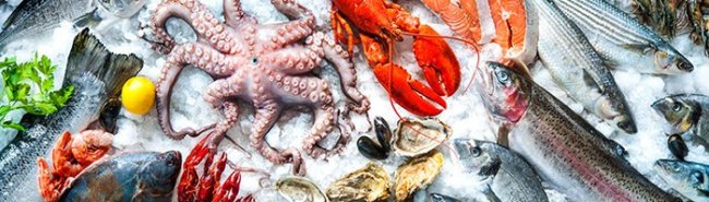 Аллергия на морепродукты - «Аллергология»