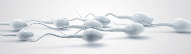 Мужское бесплодие, связанное с окислительным стрессом сперматозоидов: патогенез и терапевтический подход - «Гинекология»