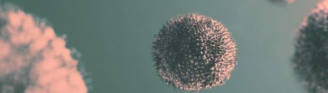 Глава ВОЗ: новый и более опасный вариант коронавируса может появиться в любой момент - «Инфекционные заболевания»
