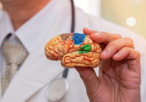 Неврологи предложили лечить психические расстройства электростимуляциями в мозг - «Здоровая жизнь»