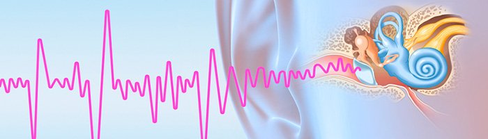 Оценка воздействия специального звукового сигнала на функциональное состояние органа слуха (экспериментальное исследование) - «Инфекционные заболевания»