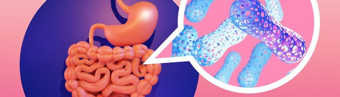 Эффективность пробиотиков в лечении синдрома раздраженного кишечника - «Гастроэнтерология»