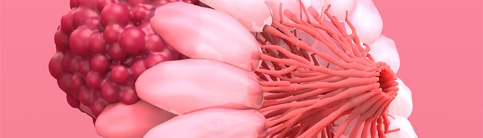 Созданы уникальные наночастицы для терапии под визуальным контролем рака молочной железы - «Кардиология»