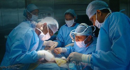 Страховая компания потребовала сократить число центров по трансплантации в 2,5 раза - «Хирургия»