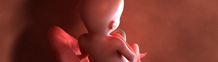 Особенности течения беременности и состояния здоровья новорожденных при задержке роста плода - «Гинекология»
