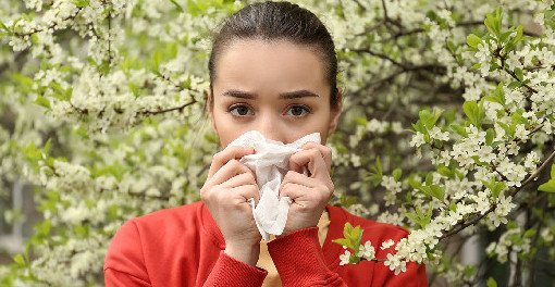 Как аллергикам пережить весеннее цветение: отвечает врач-иммунолог - «Новости Медицины»