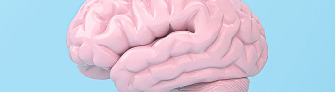 FDA одобрило операцию по имплантации мозгового чипа Neuralink второму пациенту - «Новости Медицины»