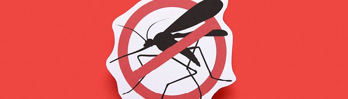 Роспотребнадзор: вспышка лихорадки денге в РФ исключена - «Гастроэнтерология»