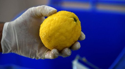 Ученые назвали самые полезные для здоровья продукты, лимона в топе нет - «Новости Медицины»