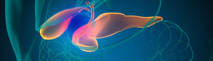 Роль иммунотерапии в лечении опухолей билиарного тракта: обзор современных данных и собственный опыт - «Аллергология»