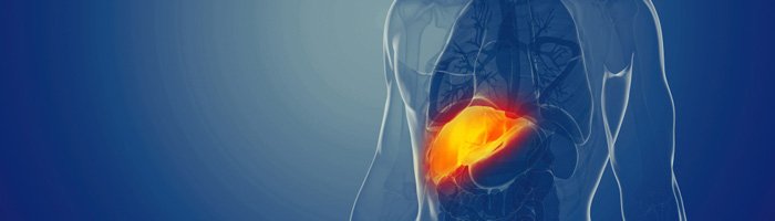 Найден способ предотвращения распространенного осложнения пересадки печени - «Аллергология»
