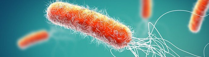 Первый комбинированный препарат для терапии инфекций, вызванных MBL‑продуцирующими патогенами зарегистрирован в России - «Новости Медицины»