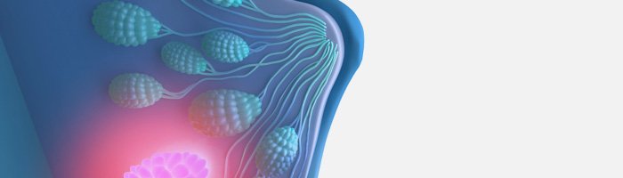 Энхерту от AstraZeneca эффективен при лечении рака молочной железы ранней стадии - «Инфекционные заболевания»