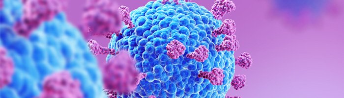 Сообщения о новом коронавирусе, обнаруженном в Бразилии у летучих мышей, на контроле Роспотребнадзора - «Аллергология»