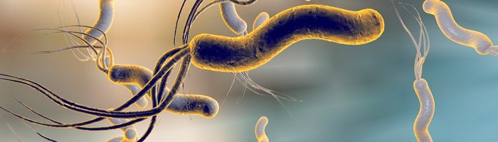 Аутоиммунный гастрит и инфекция Helicobacter pylori: молекулярные механизмы взаимосвязи - «Аллергология»