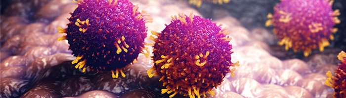 Роспотребнадзор напоминает о мерах профилактики кори для путешественников - «Инфекционные заболевания»