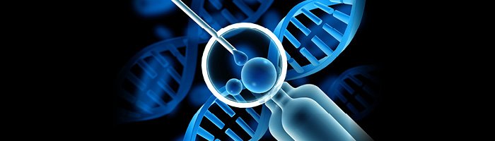 «Генетико» патентует технологии генетической диагностики эмбрионов - «Гинекология»